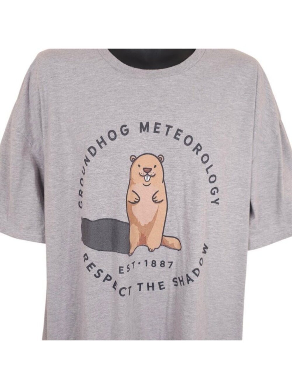 Groundhog Meteorology T Shirt Mens Size 3XL Gray Respect The Shadow